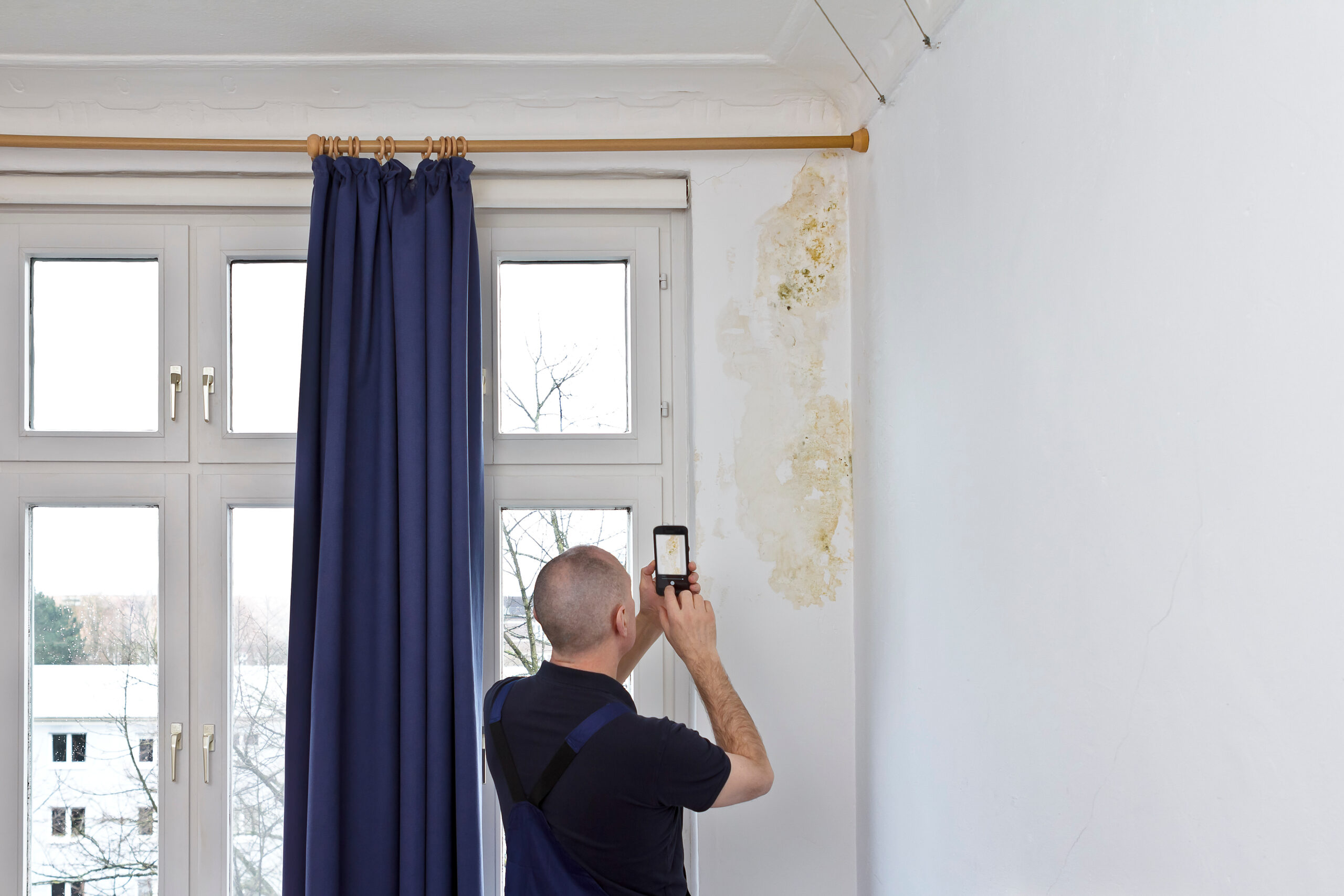 man photographing mold mildew wall